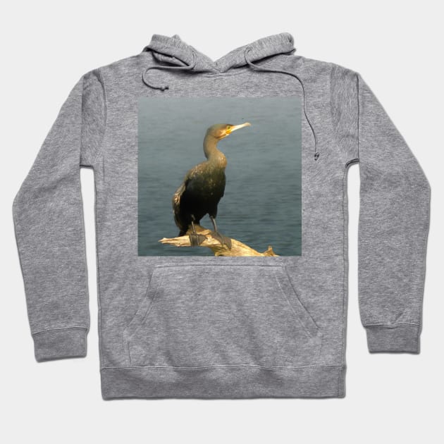 Cormorant Hoodie by Guardi